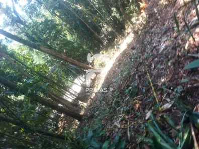 Lote/Terreno à venda, 1650m² no Balneario Praia do Perequê, Guarujá