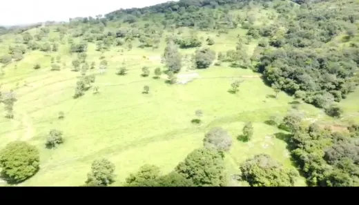 Fazenda/Sítio à venda no Vila São José, Inhumas