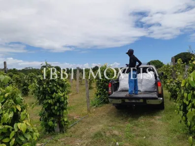 Fazenda/Sítio à venda, 484000m² no , Belmonte