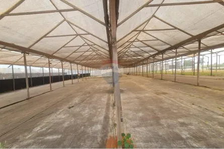 para alugar, 2000m² no , Artur Nogueira