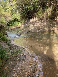 Fazenda/Sítio com 1 Quarto à venda, 48400m² no , Abadiânia