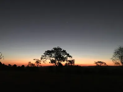 Fazenda/Sítio à venda, 20000m² no ZONA RURAL, Bonfinópolis