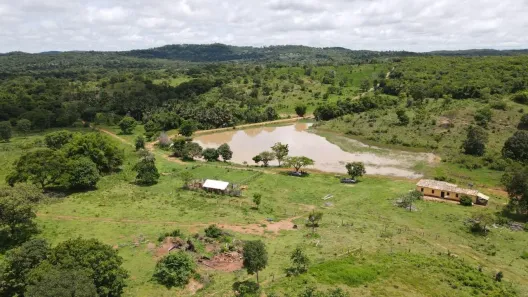 Fazenda/Sítio com 5 Quartos à venda, 37m² no , Goiás