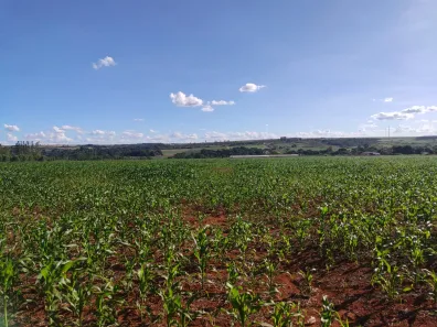 Fazenda/Sítio com 3 Quartos à venda, 280000m² no Taquara, Brasília