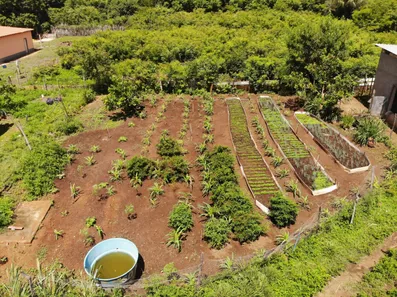 Fazenda/Sítio com 3 Quartos à venda, 124000000m² no Centro, Campo Maior
