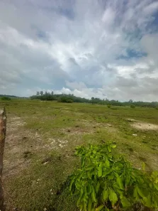 Lote/Terreno à venda, 4460m² no , Santo Amaro do Maranhão