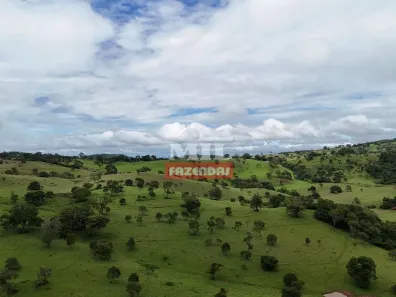 Fazenda/Sítio à venda, 20000m² no Vila Mutirão, Inhumas