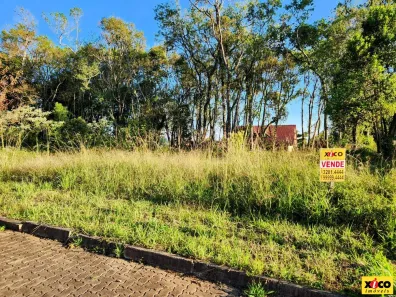 Lote/Terreno à venda, 456m² no Nova Petrópolis, Nova Petrópolis