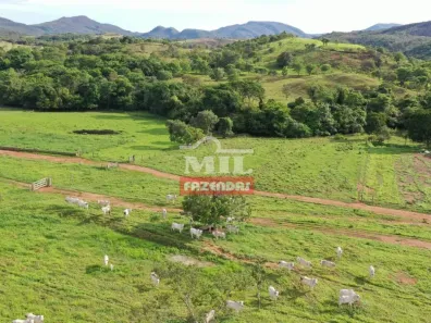 Fazenda/Sítio à venda, 700000000m² no , Padre Bernardo
