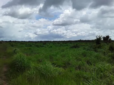 Fazenda/Sítio com 1 Quarto à venda, 484000000m² no , Babaçulândia