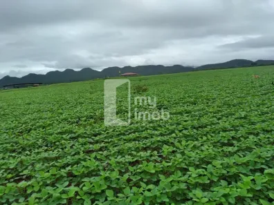 Fazenda/Sítio com 3 Quartos à venda, 190m² no , Niquelândia