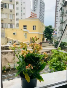 Apartamento com 1 Quarto para alugar, 30m² no Botafogo, Rio de Janeiro