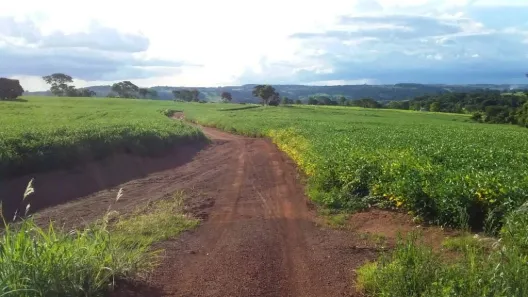 Fazenda/Sítio à venda, 5008300m² no Centro, Leopoldo de Bulhões