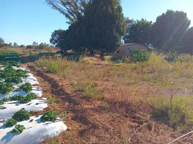 Fazenda/Sítio com 3 Quartos à venda, 220000m² no , Brasília