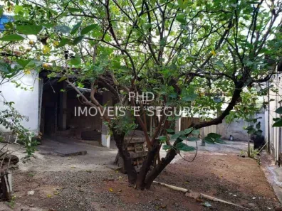 Lote/Terreno com 1 Quarto para alugar, 300m² no Ribeiro de Abreu, Belo Horizonte