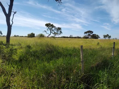 Fazenda/Sítio à venda, 39m² no , Bonfinópolis