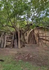 Fazenda/Sítio à venda, 269m² no Planalto, Niquelândia