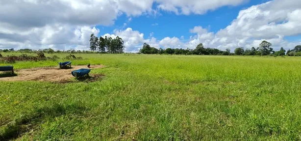 Fazenda/Sítio com 1 Quarto à venda, 20000m² no Brazlândia, Brasília