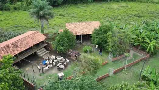Fazenda/Sítio com 4 Quartos à venda, 12000000m² no Centro, Altos