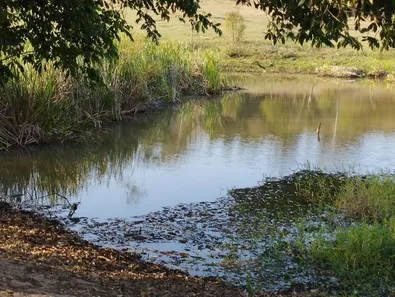Fazenda/Sítio com 5 Quartos à venda, 96000m² no Área Rural de Iacanga, Iacanga