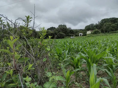Lote/Terreno à venda, 20000m² no , Fortuna de Minas