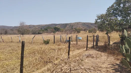 Fazenda/Sítio à venda no , Buritis