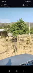 Fazenda/Sítio à venda no , Buritis