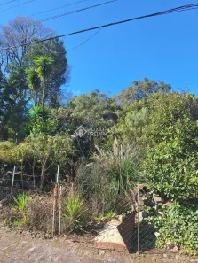 Lote/Terreno à venda, 3000m² no Cruzeiro, Caxias do Sul