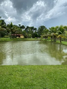 Fazenda/Sítio com 3 Quartos à venda, 48400m² no Área Rural, Goianira