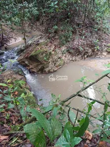 Fazenda/Sítio com 3 Quartos à venda, 4640m² no , Silvânia