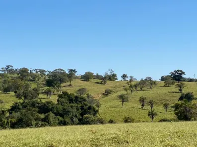 Fazenda/Sítio com 4 Quartos à venda, 2420000m² no Vila Santa Terezinha, Inhumas