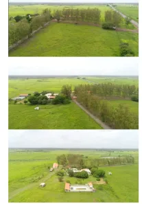 Fazenda/Sítio à venda, 6000m² no Zona Rural, Coroatá
