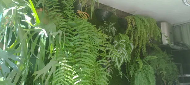 Apartamento com 4 Quartos para alugar, 140m² no Dona Clara, Belo Horizonte