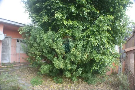 Lote/Terreno à venda, 210m² no Jardim do Bosque, Cachoeirinha