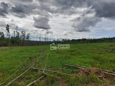 Fazenda/Sítio à venda, 20000m² no , Gameleira de Goiás