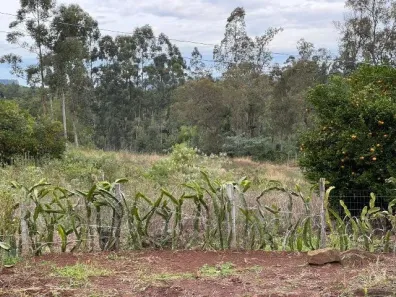 Fazenda/Sítio com 1 Quarto à venda, 10000m² no , Caraá