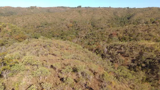 Fazenda/Sítio à venda, 20000m² no , Brasília