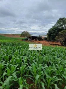 Fazenda/Sítio com 5 Quartos à venda, 800m² no Centro, Estreito