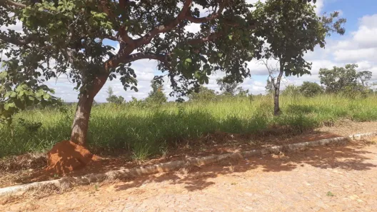 Lote/Terreno à venda, 5000m² no , Paraopeba