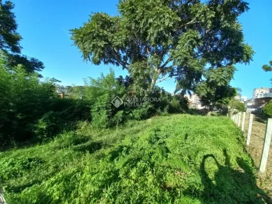 Lote/Terreno à venda, 999m² no Bela Vista, Caxias do Sul
