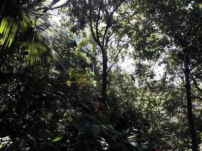Lote/Terreno à venda, 604m² no Jardim Botânico, Rio de Janeiro