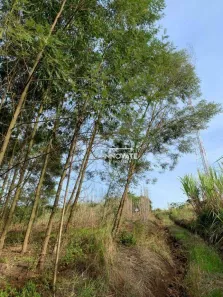 Lote/Terreno à venda, 31235m² no Centro, Presidente Lucena