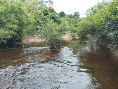 Fazenda/Sítio com 1 Quarto à venda, 20000m² no Serra do Cipó, Santana do Riacho