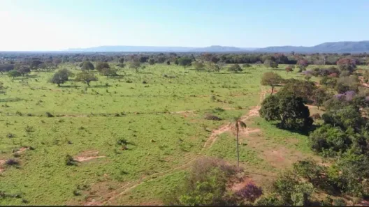 Fazenda/Sítio com 3 Quartos à venda, 162500m² no , Buritis