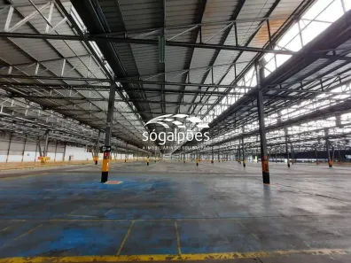 Galpão/Depósito/Armazém para alugar, 5000m² no Universitário, Belo Horizonte