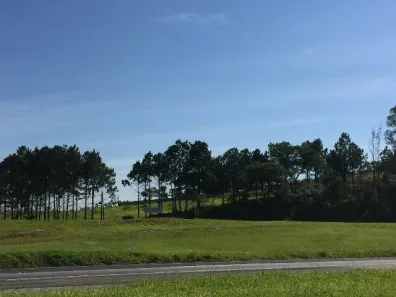 Lote/Terreno para alugar, 10900m² no Vila Artura, Sorocaba