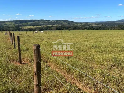 Fazenda/Sítio à venda, 500m² no , Jaraguá