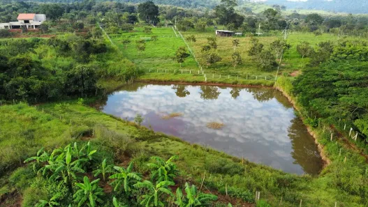 Fazenda/Sítio com 5 Quartos à venda, 24m² no Área Rural de Inhumas, Inhumas