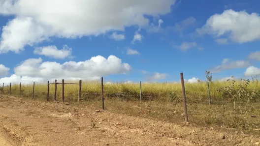 Lote/Terreno à venda, 20000m² no , Paraopeba