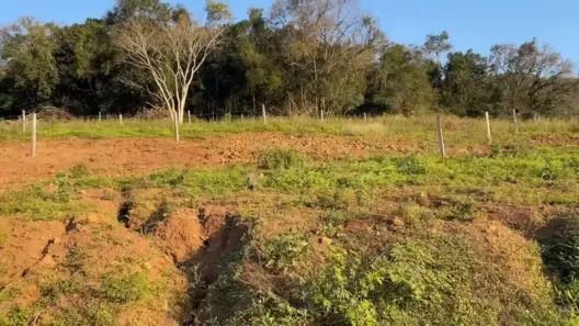 Fazenda/Sítio com 1 Quarto à venda, 60m² no , Caraá